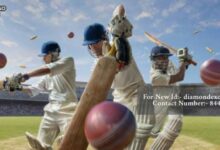 Diamond Exchange: A New Era for Cricket Enthusiasts