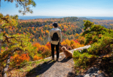 Walking Trails Near Me