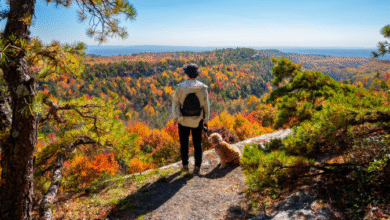 Walking Trails Near Me