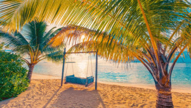 Beach Background