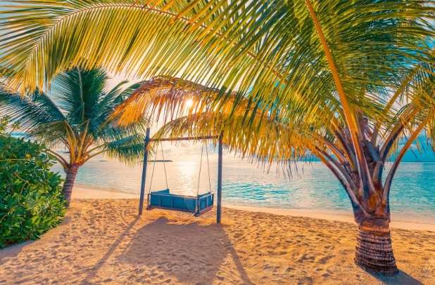 Beach Background